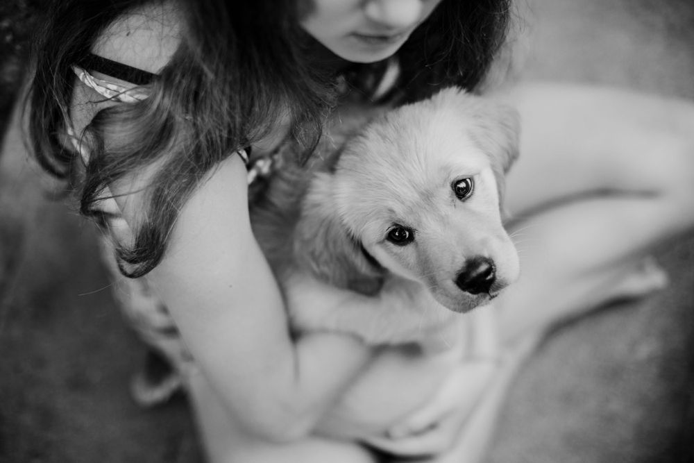 A small white fluffy dog being held and cuddled in black and white photography.