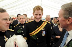 Prince Harry in uniform in Royal Chelsea Hospital, London.