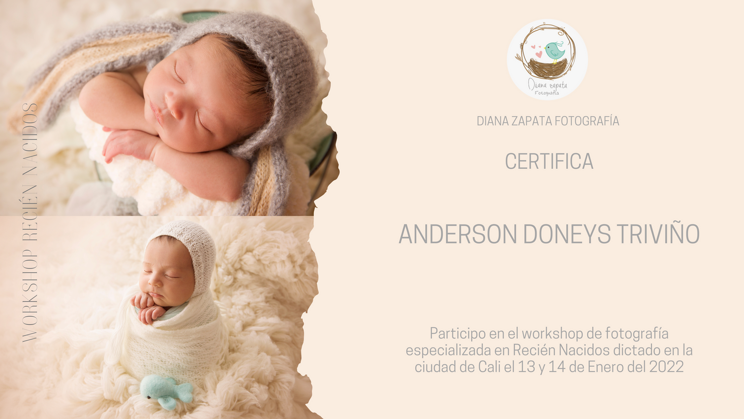certificado de fotografia new born