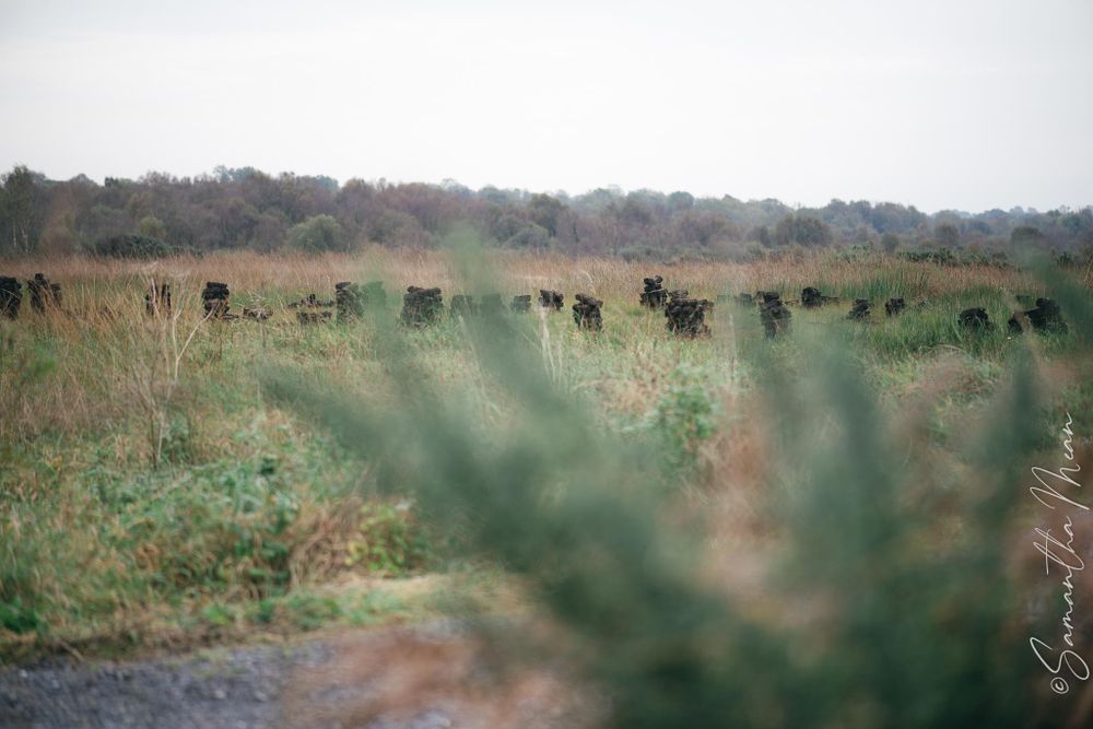 Corlea Track Longford