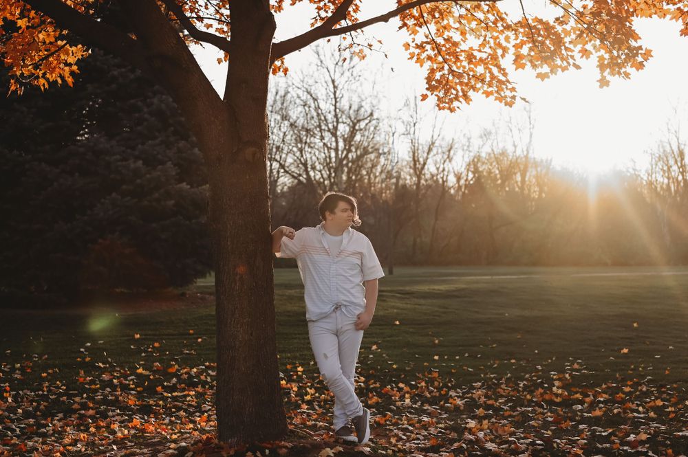 Autumn scene with sunburst through trees and fallen orange leaves.