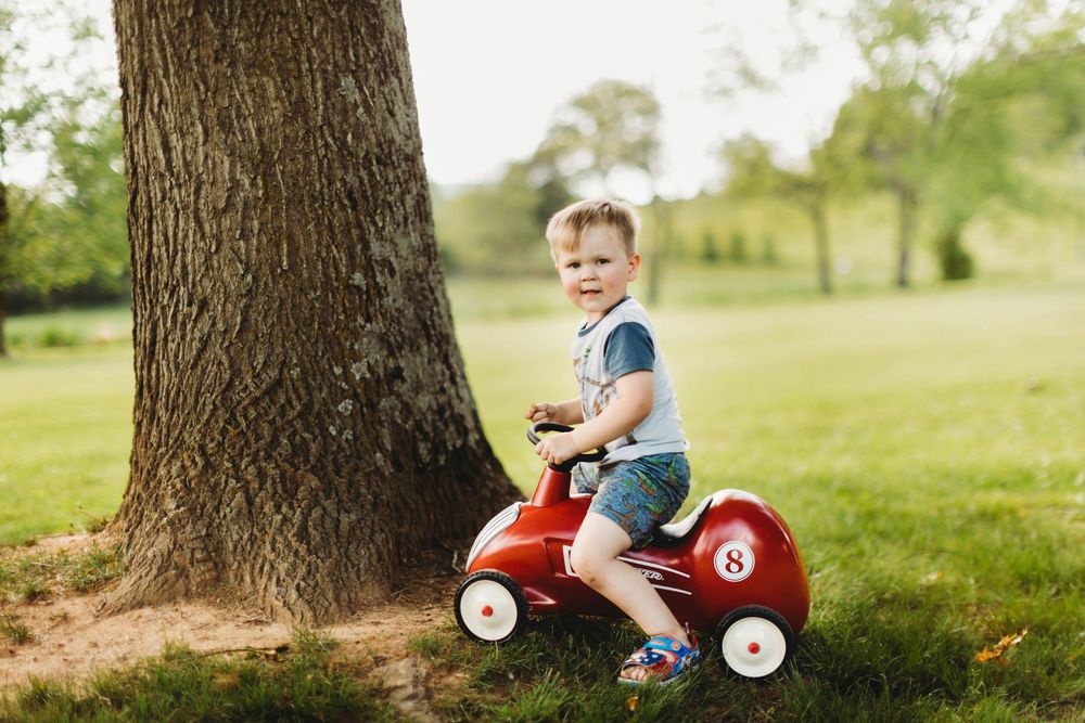 Child rides red toy wagon near large tree trunk in sunny green field.