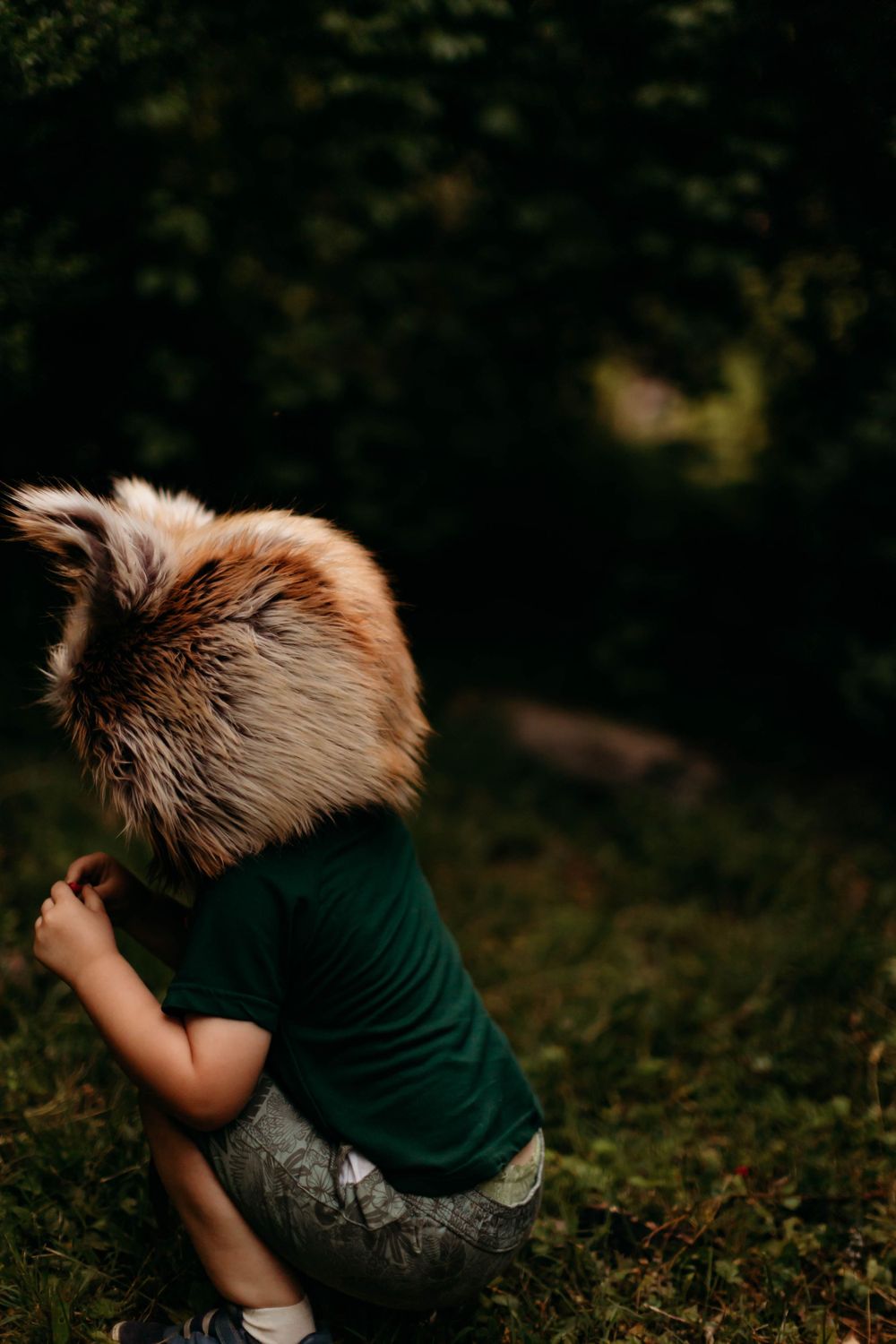 Artistic photo of fuzzy fox ears against a dark outdoor background.