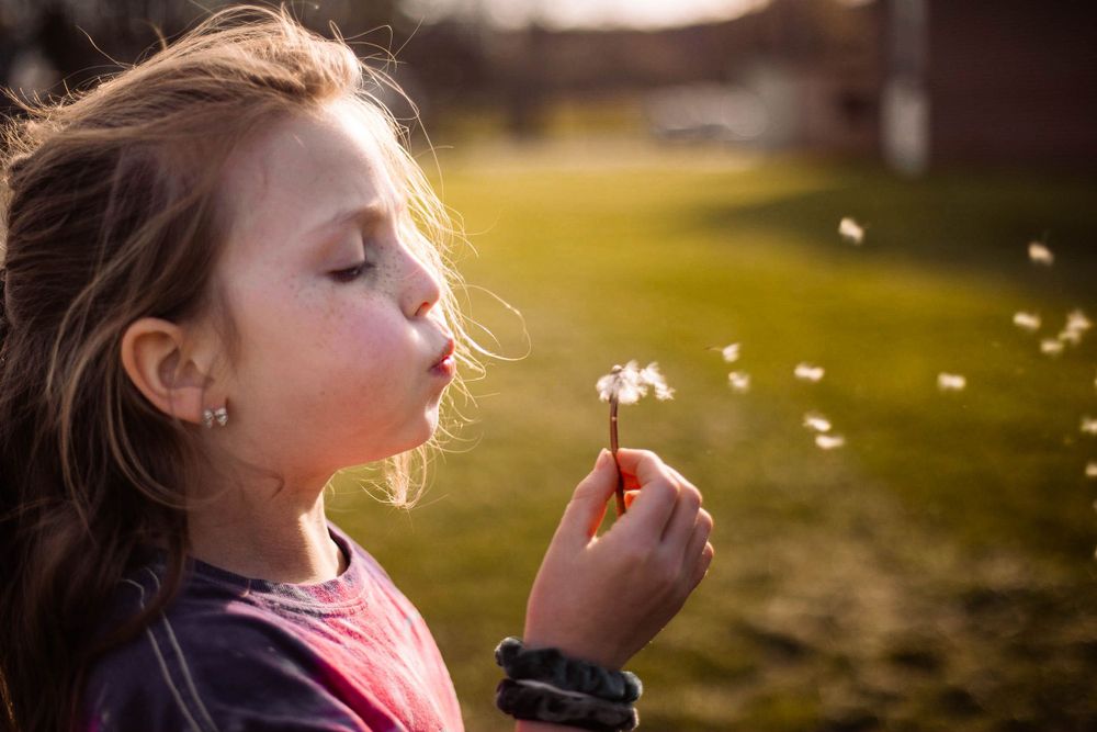 Gentle scene of child blowing dandelion seeds at golden sunset.