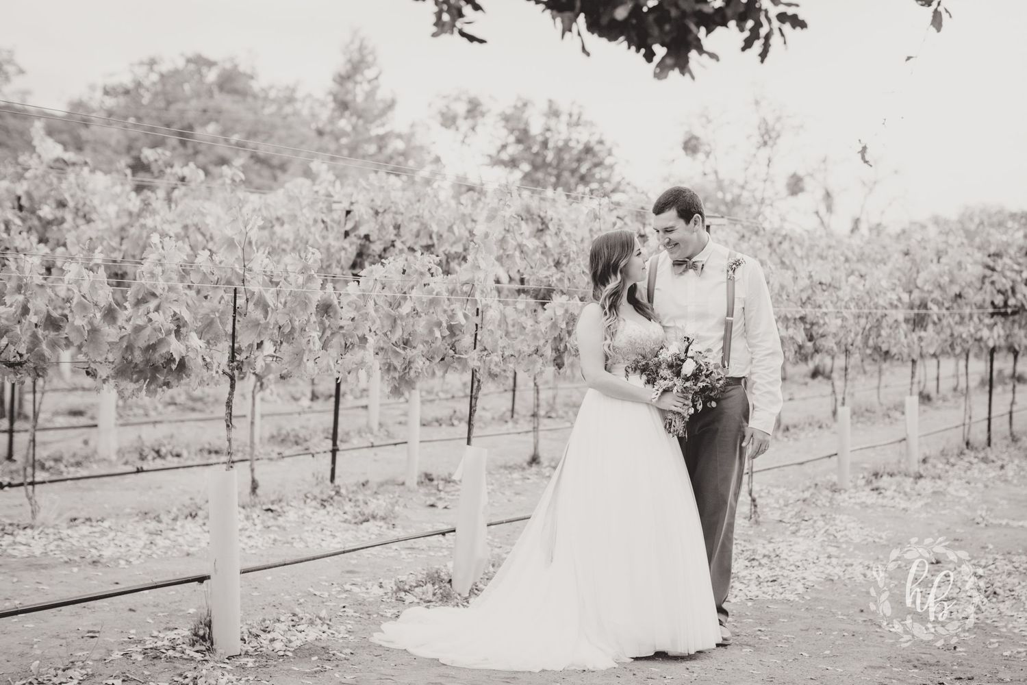 Dorner Family Vineyard Fall Wedding Los Angeles Wedding Photographer