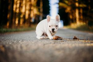lifestylefotografering
