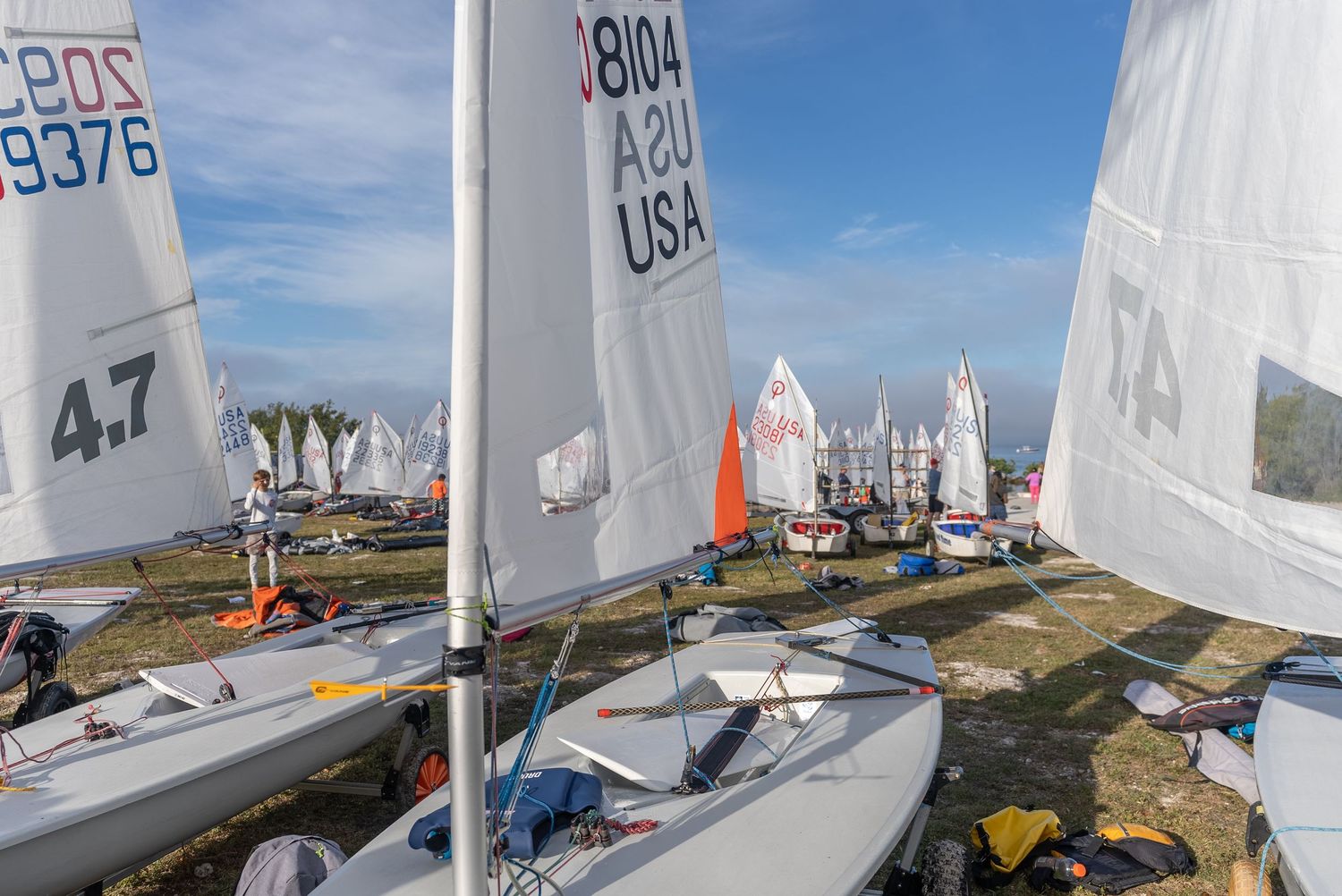 Small sailboats lined up on shore with sail numbers visible against a blue sky.