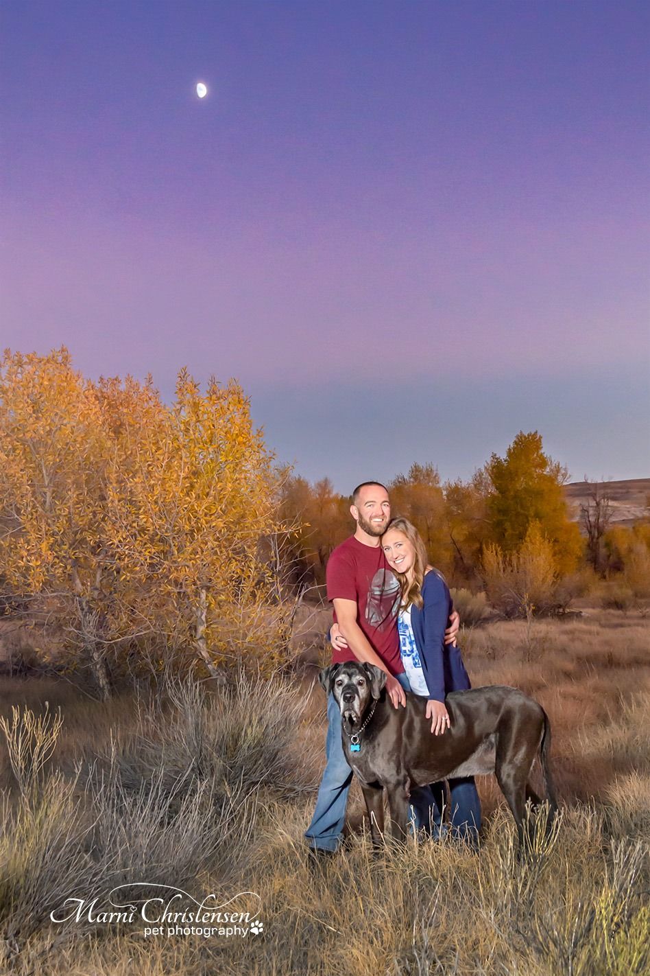 Great Dane dog with couple at sunset in autumn landscape with golden trees.