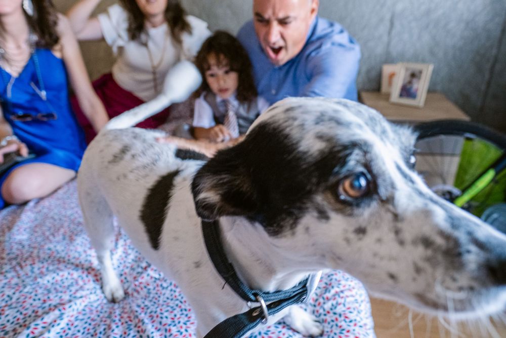 Reportagem fotográfica de Baptizado; Fotografa de Baptizados; Igreja Paroquial de Queijas Fotografia de batizados; Inês Valente Fotografia;