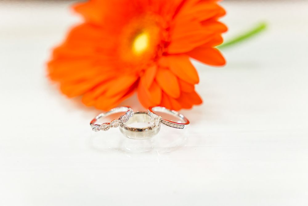 Bright orange gerbera daisy with three wedding rings arranged in front.