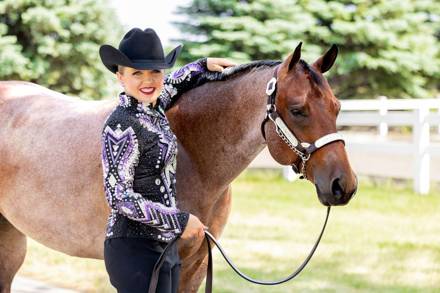 Ludington, Michigan with Dalton Performance Horses