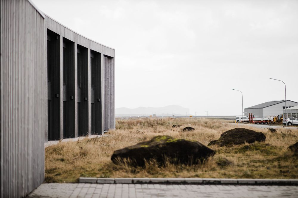 Modern curved building with black windows against grassland where buffalo graze.