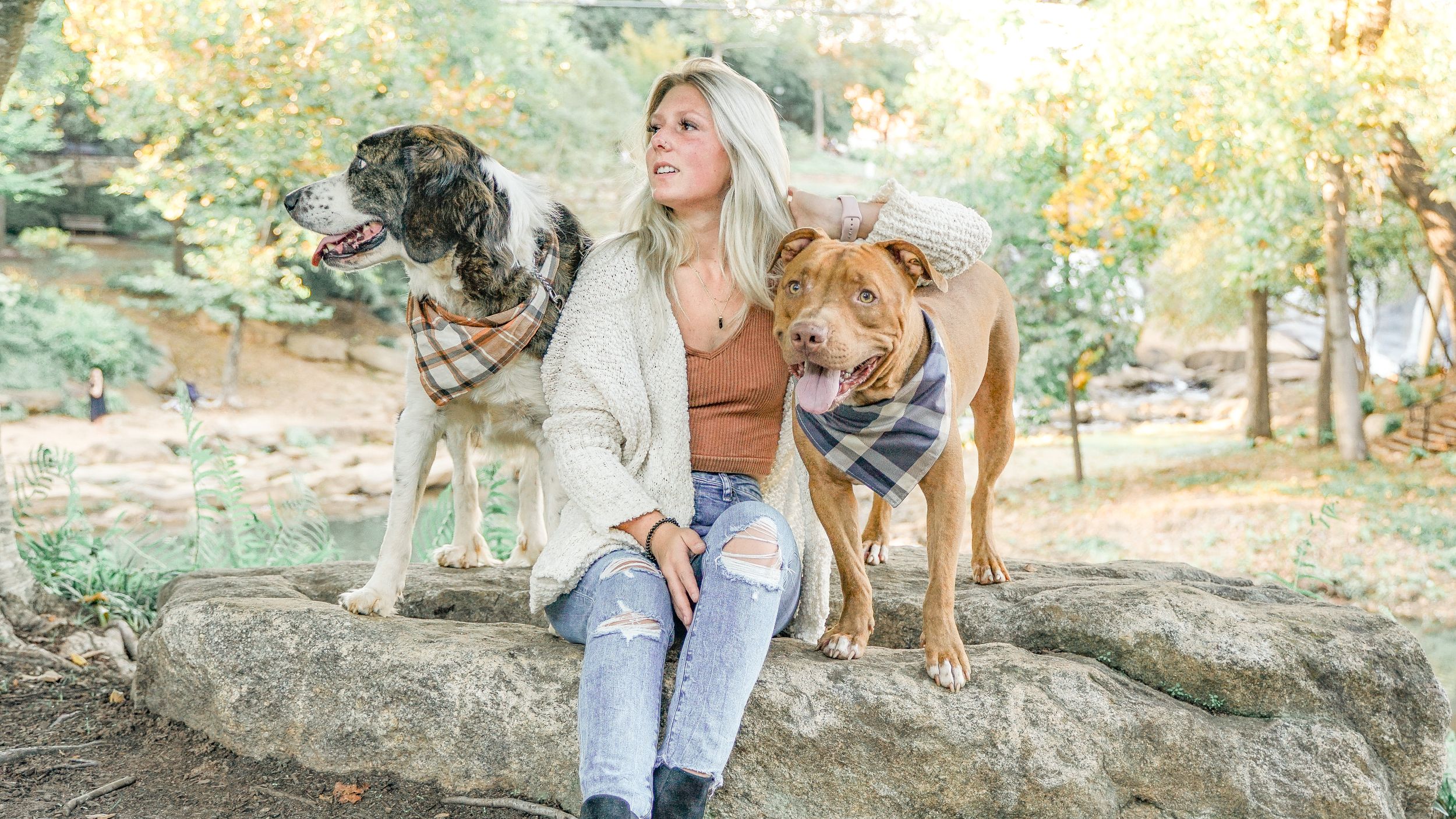 Pet Photo Session in Downtown Greenville, South Carolina
