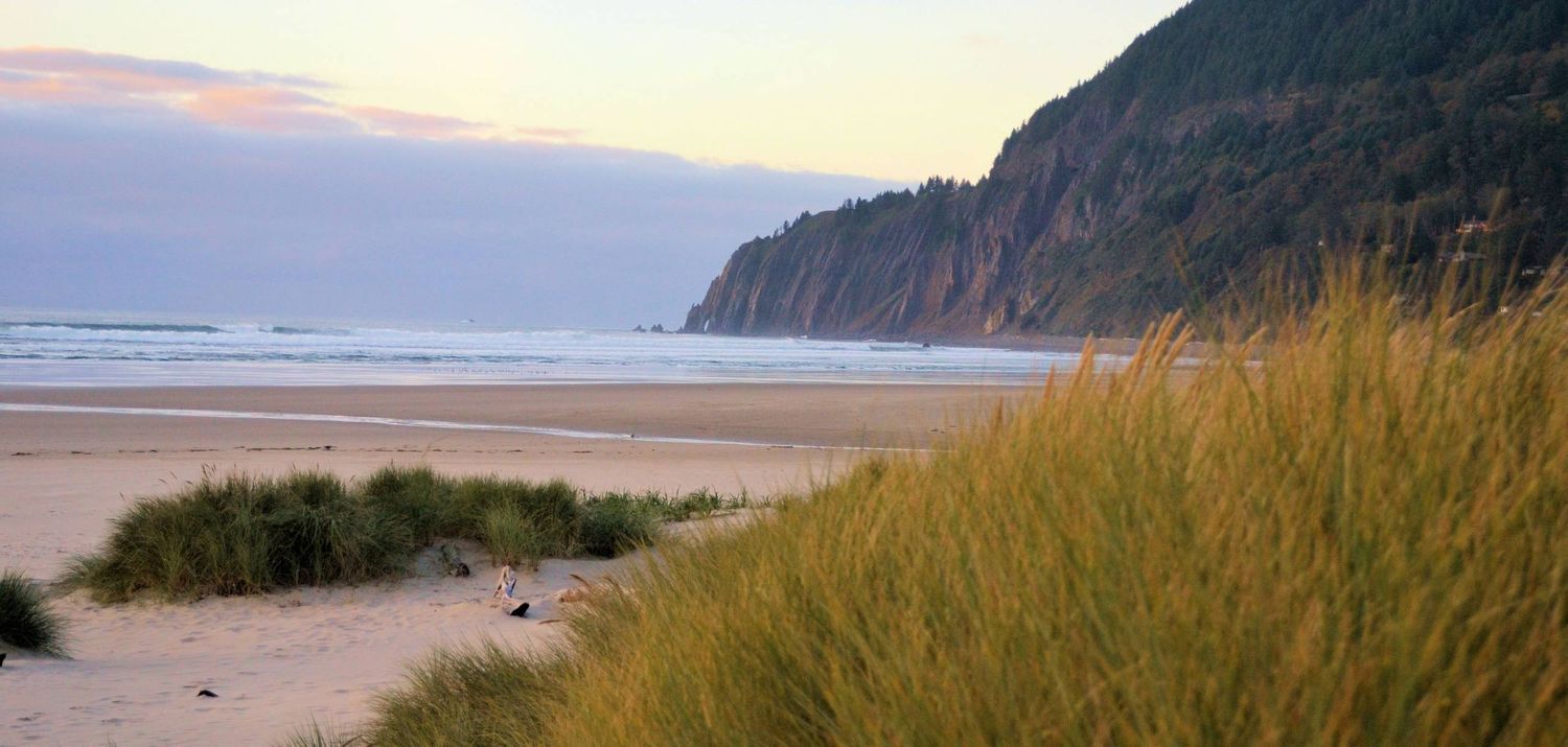 Manzanita in Oregon
