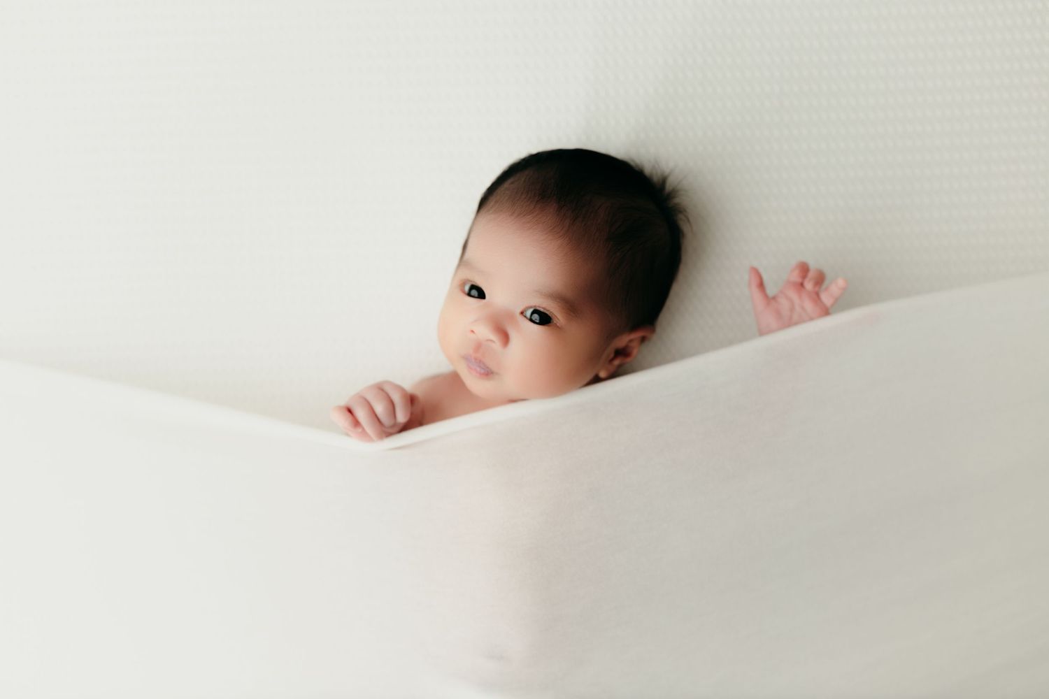 newborn photography session in Victoria BC.