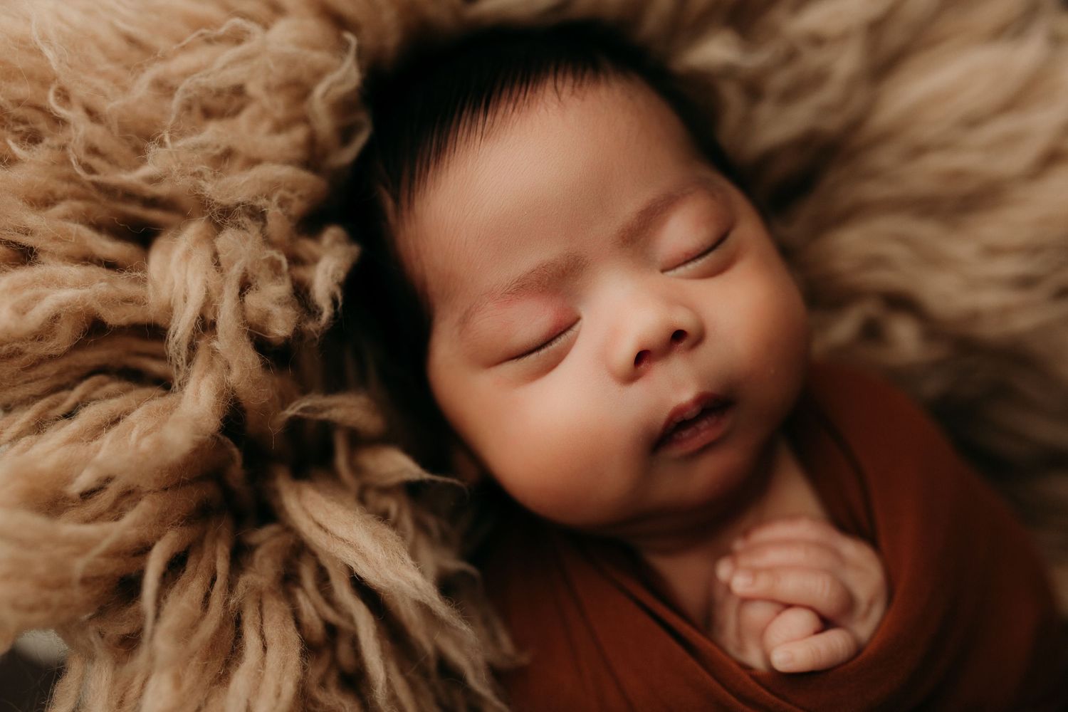 newborn family photography in victoria bc