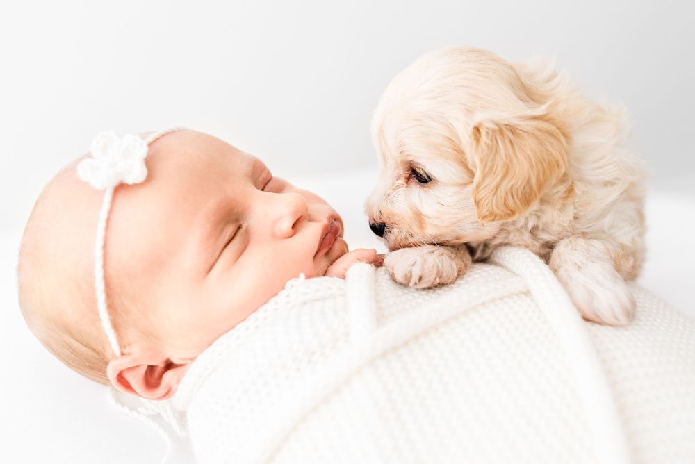 natural newborn with puppies pictures Hereford