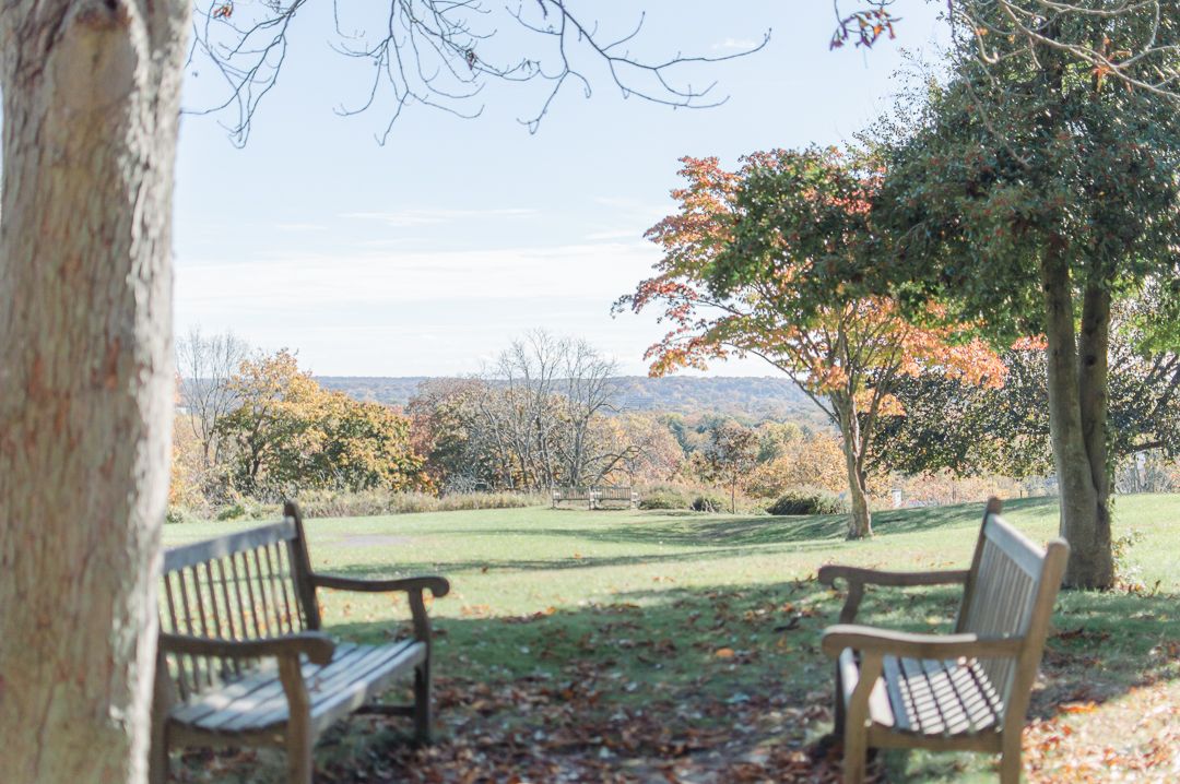 Two wooden benches overlooking a scenic autumn landscape with colorful trees and rolling hills.