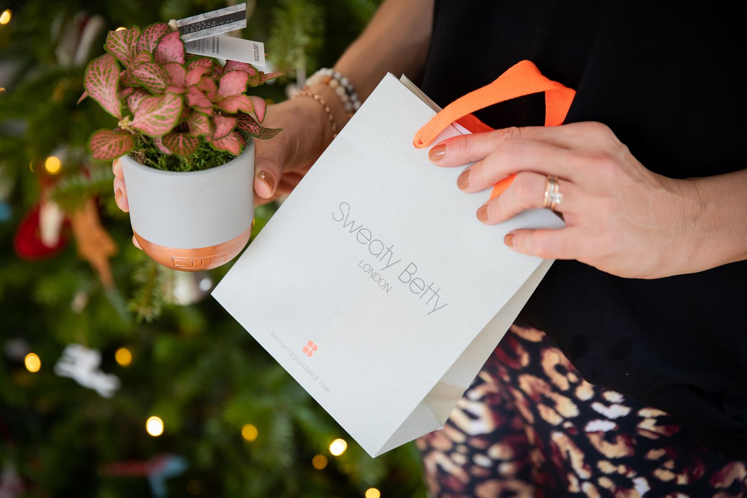 Hands holding a white notebook with indoor plants and holiday lights in background during business branding photoshoot.