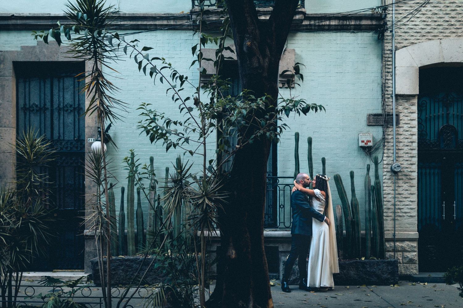 A wedding couple poses near urban architecture with cacti and white walls.