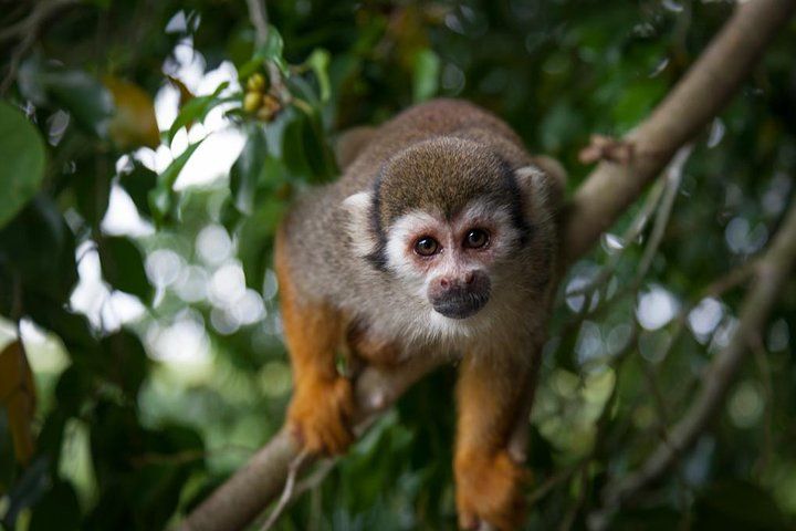 Family activities in Sosua and Cabarete