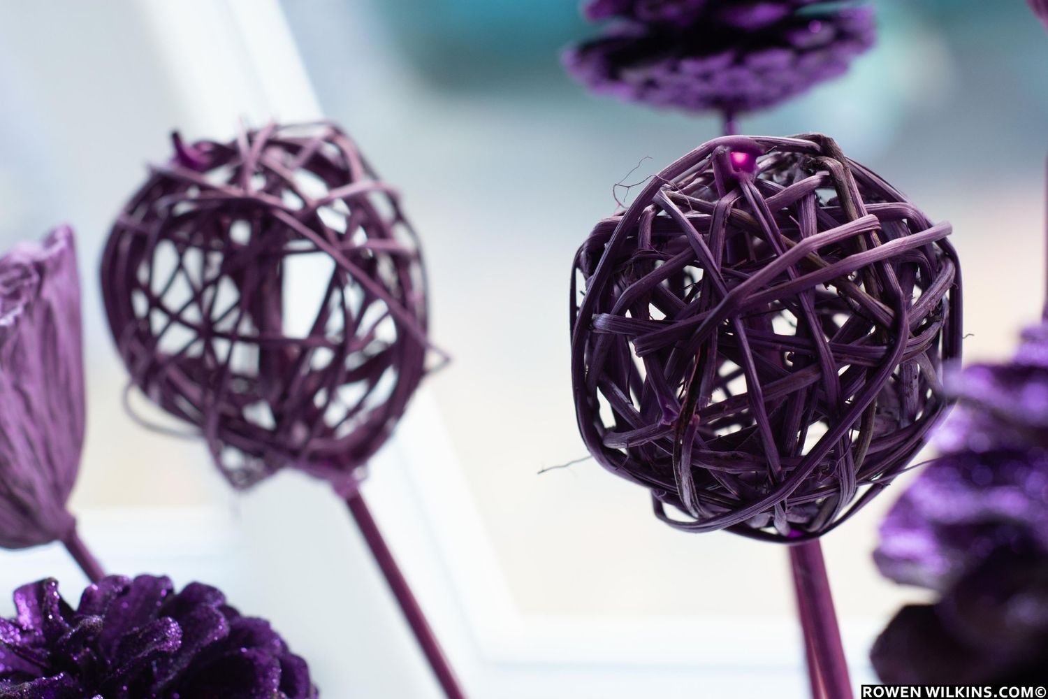 purple balls flower