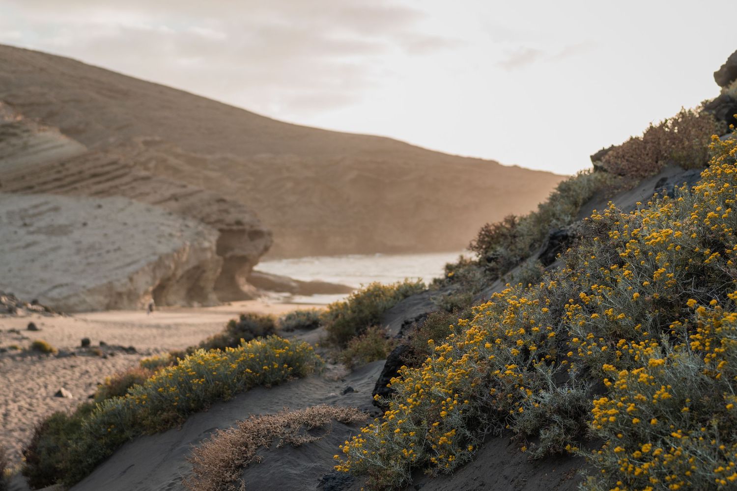 nature tenerife