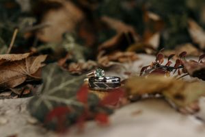 Wedding rings nestled among autumn leaves in artistic macro shot.