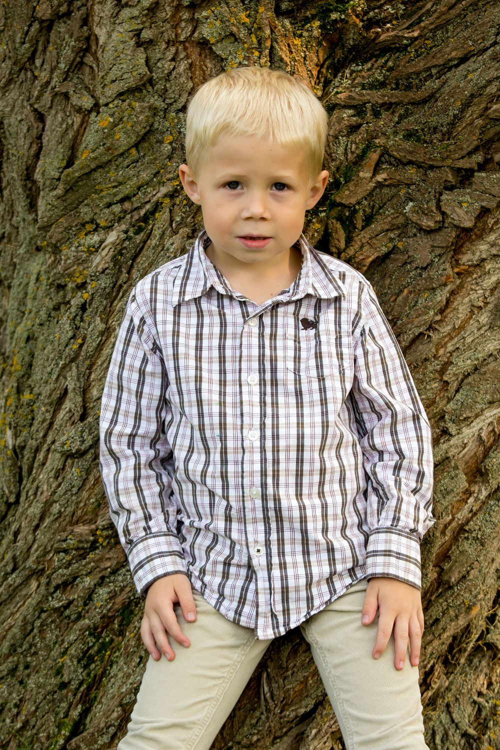 Young boy with a tree as a background for photos in Alberta