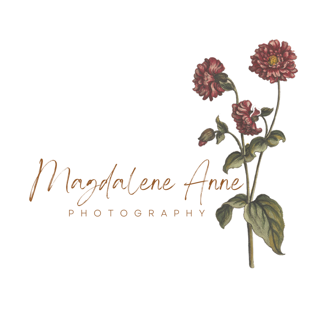 Elegant photography logo design with vintage floral illustration and script text.