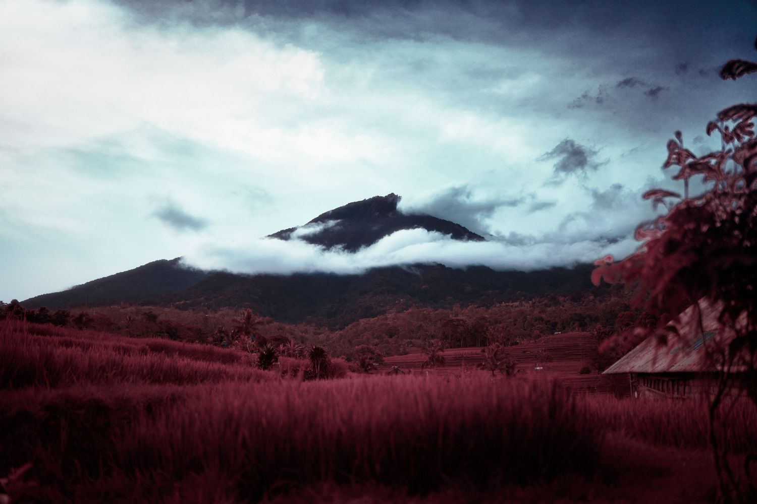 Dramatic mountain landscape with red-tinted fields and low-hanging clouds creating a moody atmosphere.