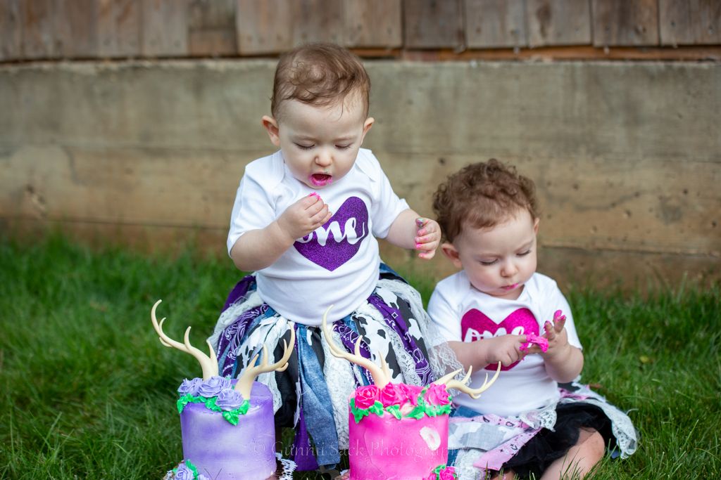 Gunnii Sack Photography, Amador County Photographer, Amador County Videographer, Cake Smash, one year shoot