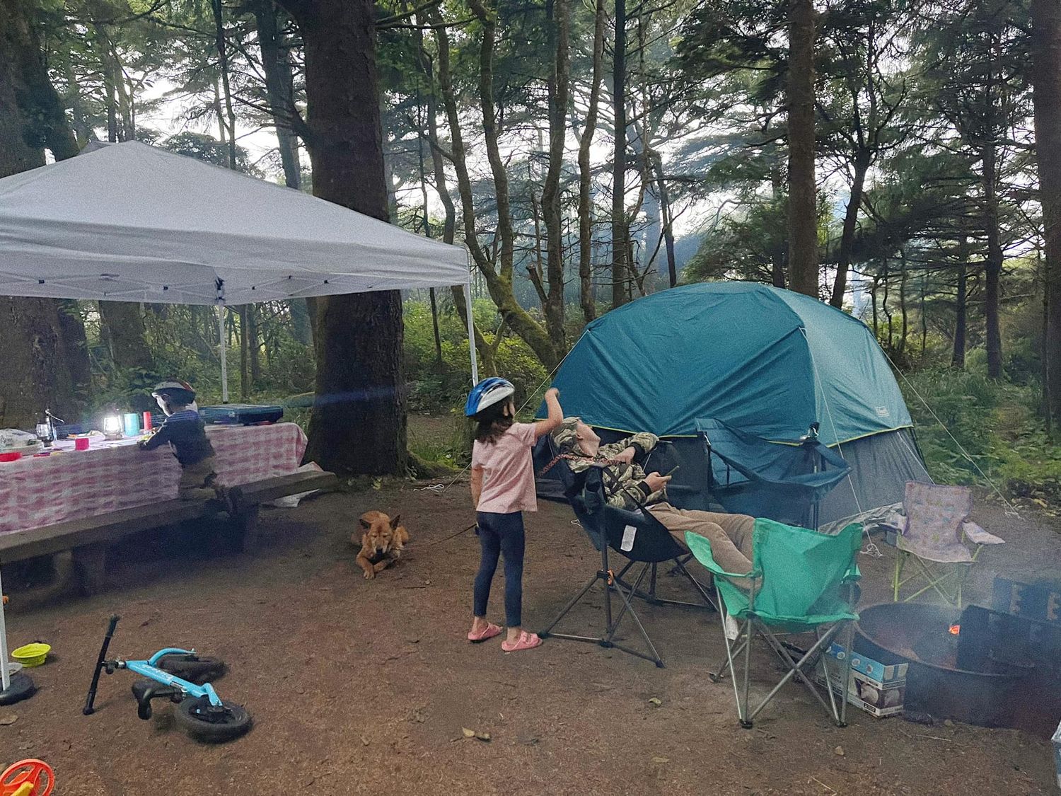 Campers setting up tents and camping gear in a wooded area with multiple sites visible in a panoramic view.