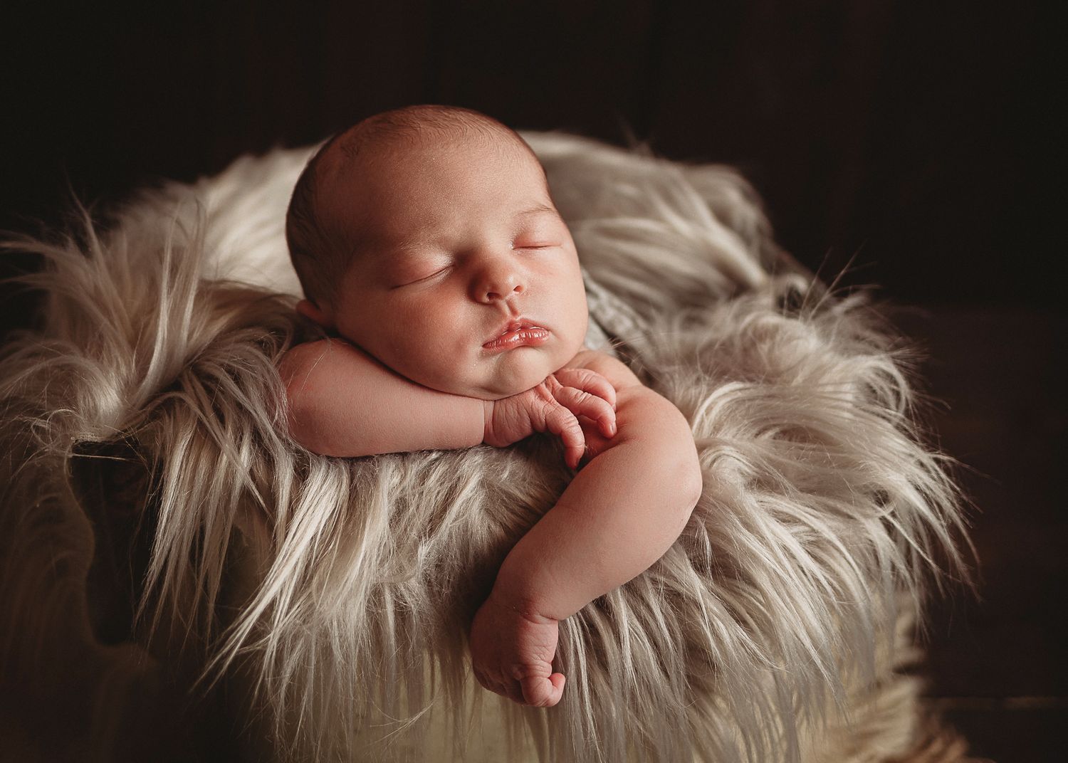 Professional newborn photo