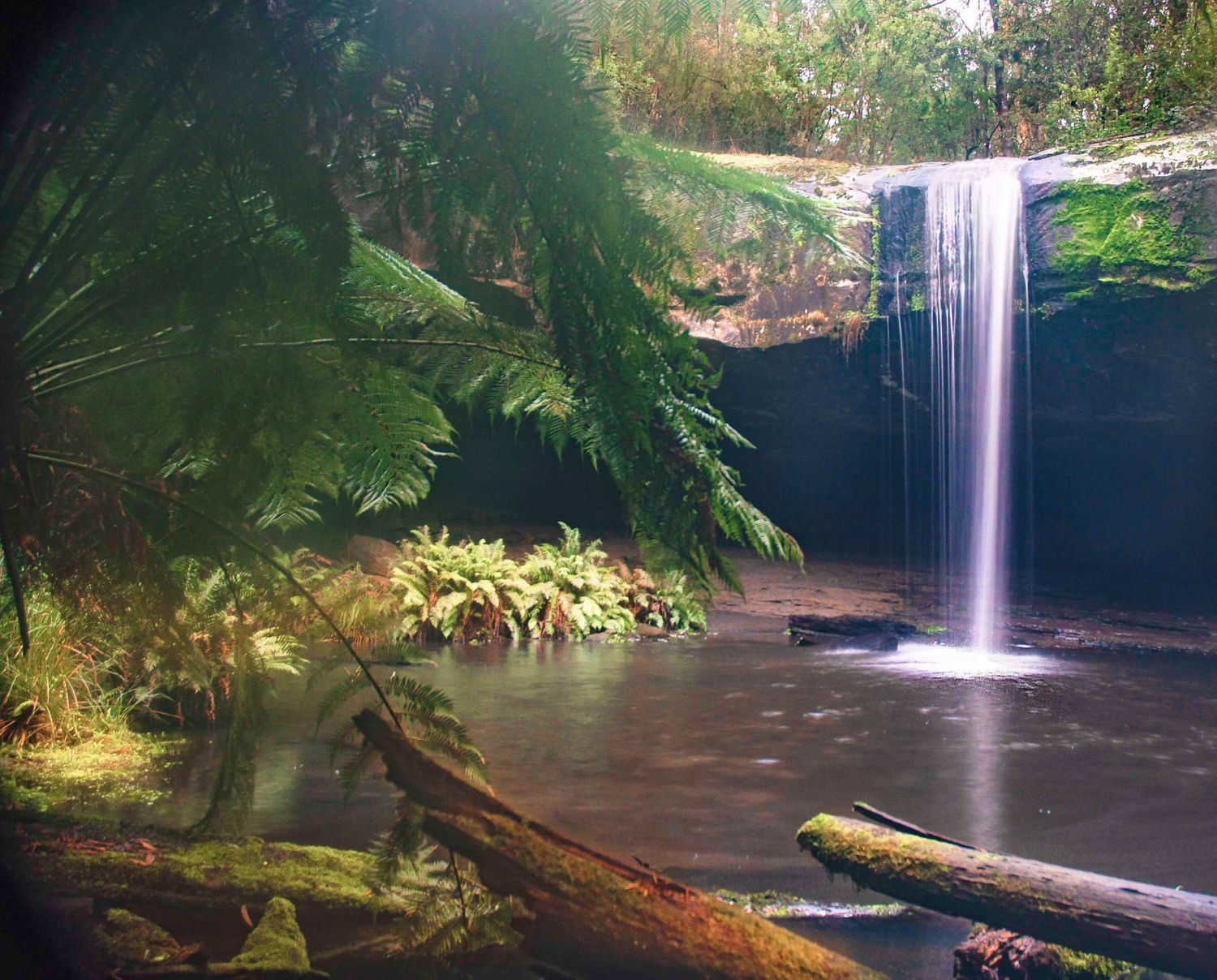 The Otways