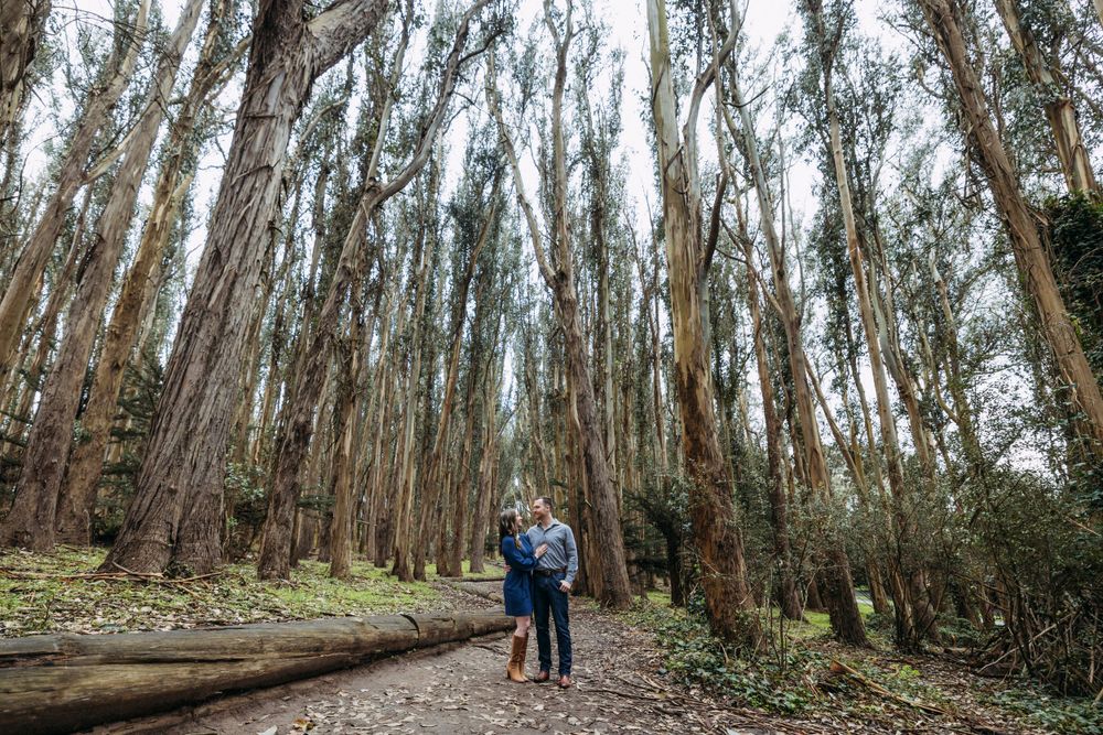 Lovers' Lane engagement portraits on an overcast morning.