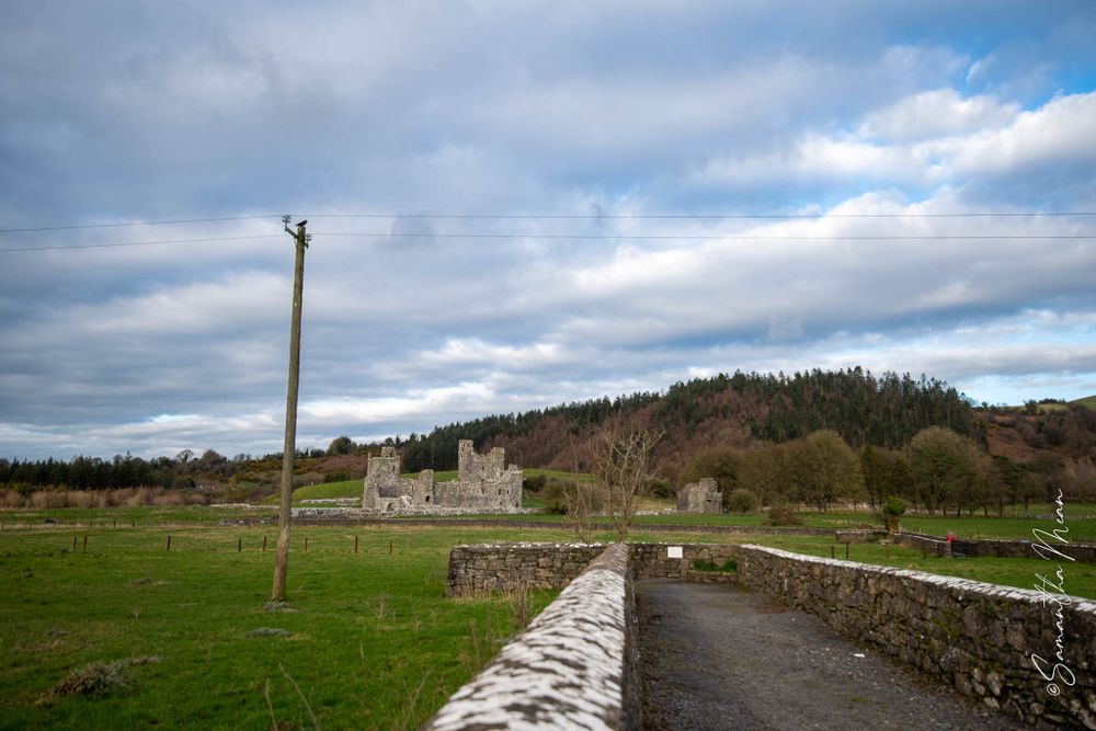 Fore Abbey
