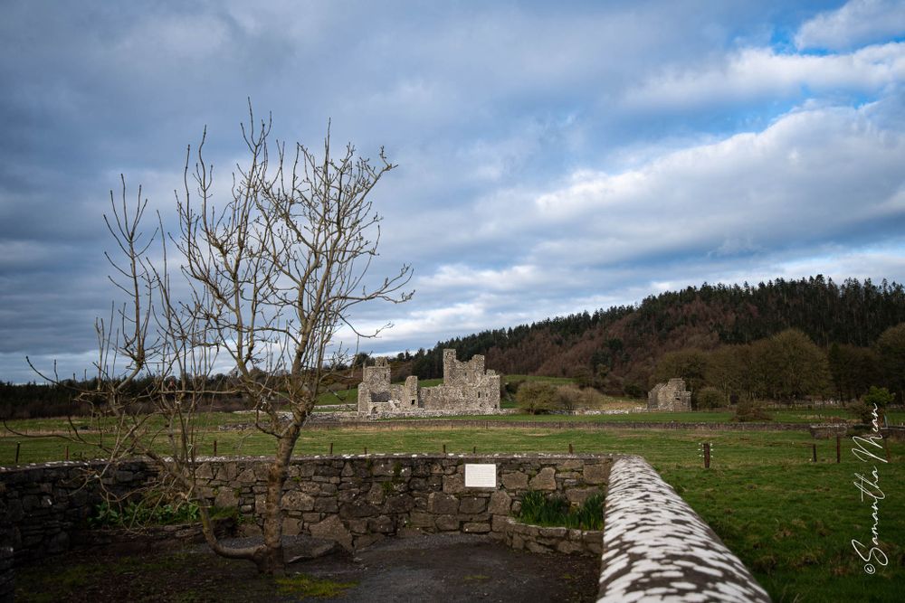 Fore Abbey