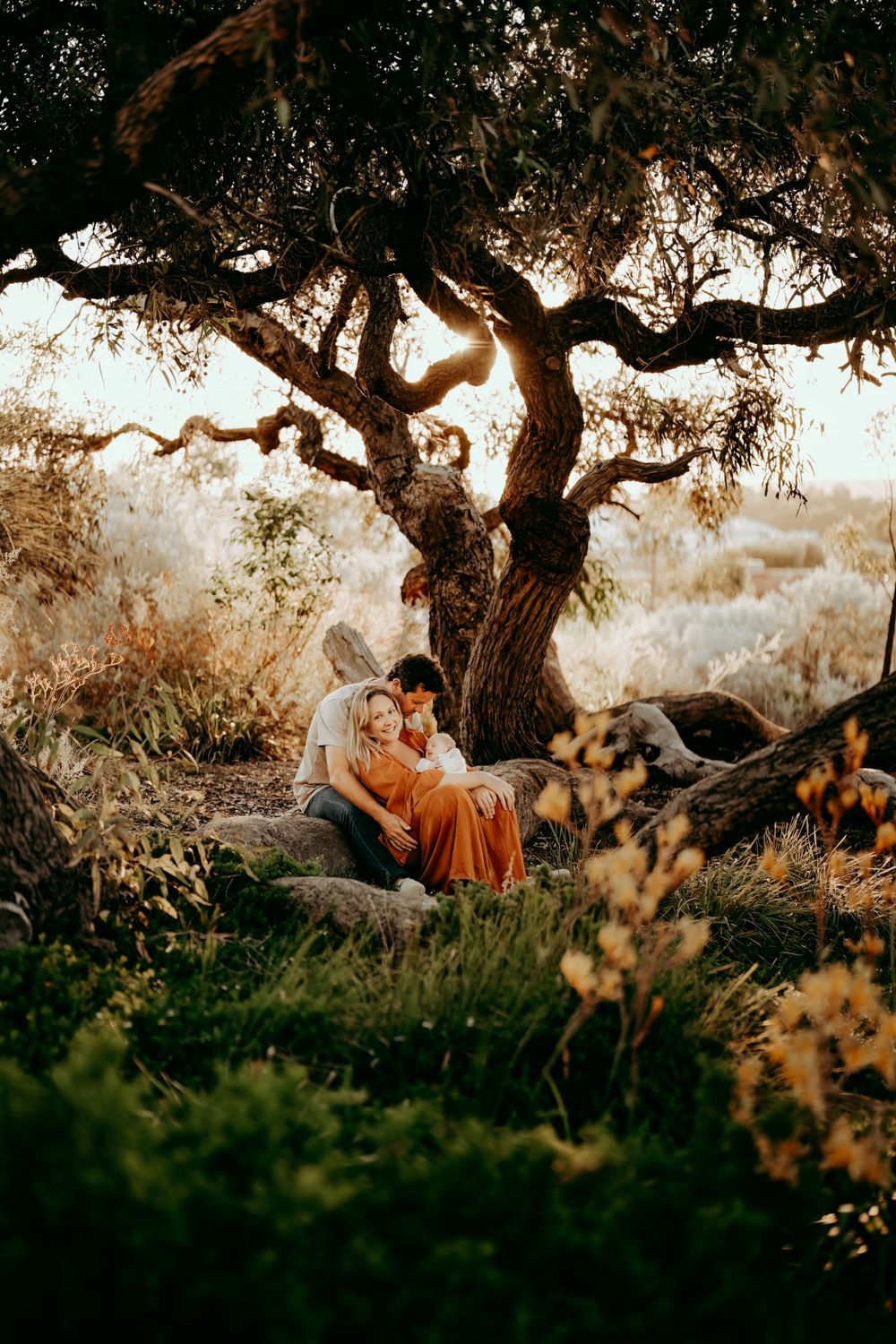 Romantic outdoor portrait under twisted tree at sunset.