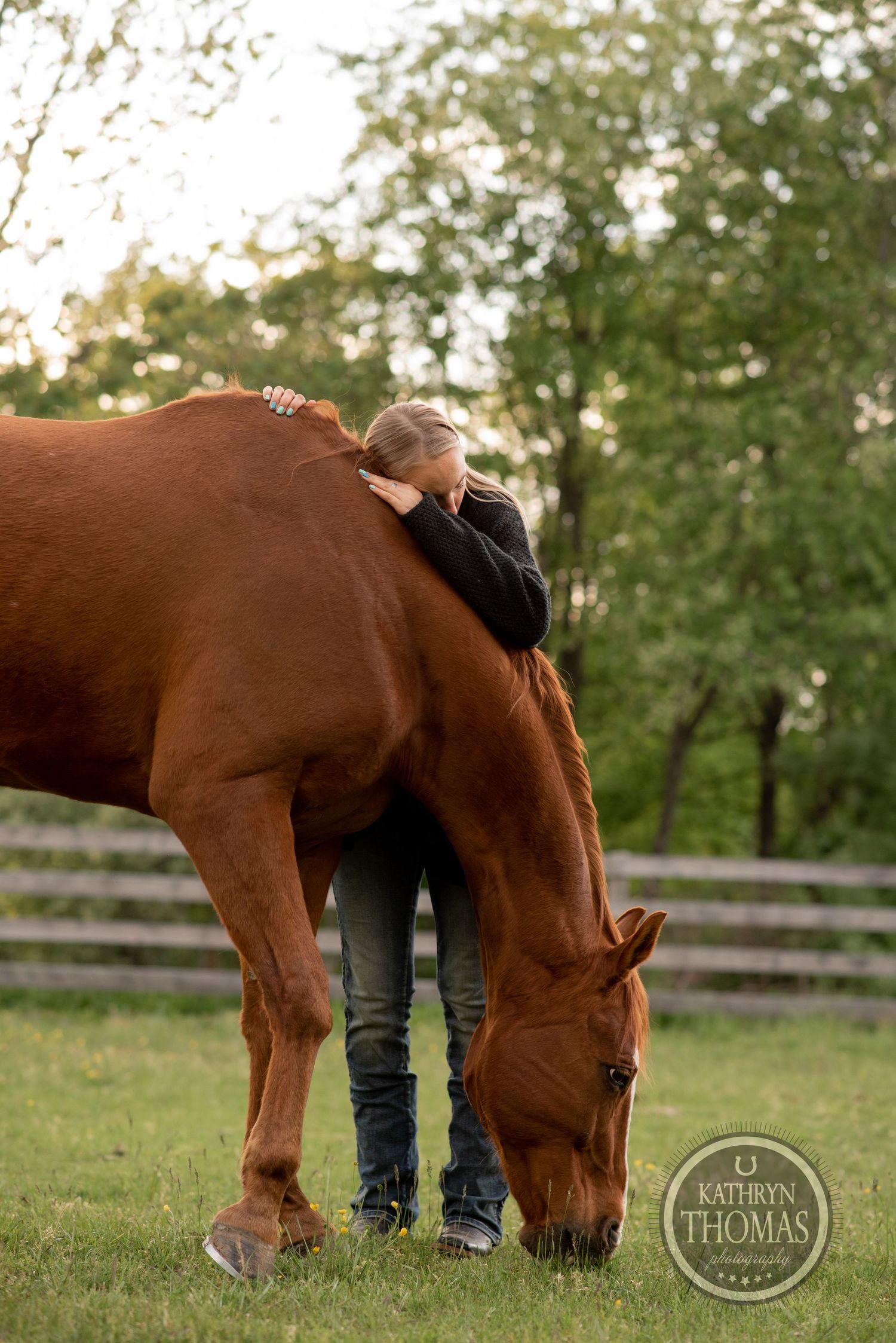 Person leans against grazing chestnut horse in pastoral setting with wooden fence.