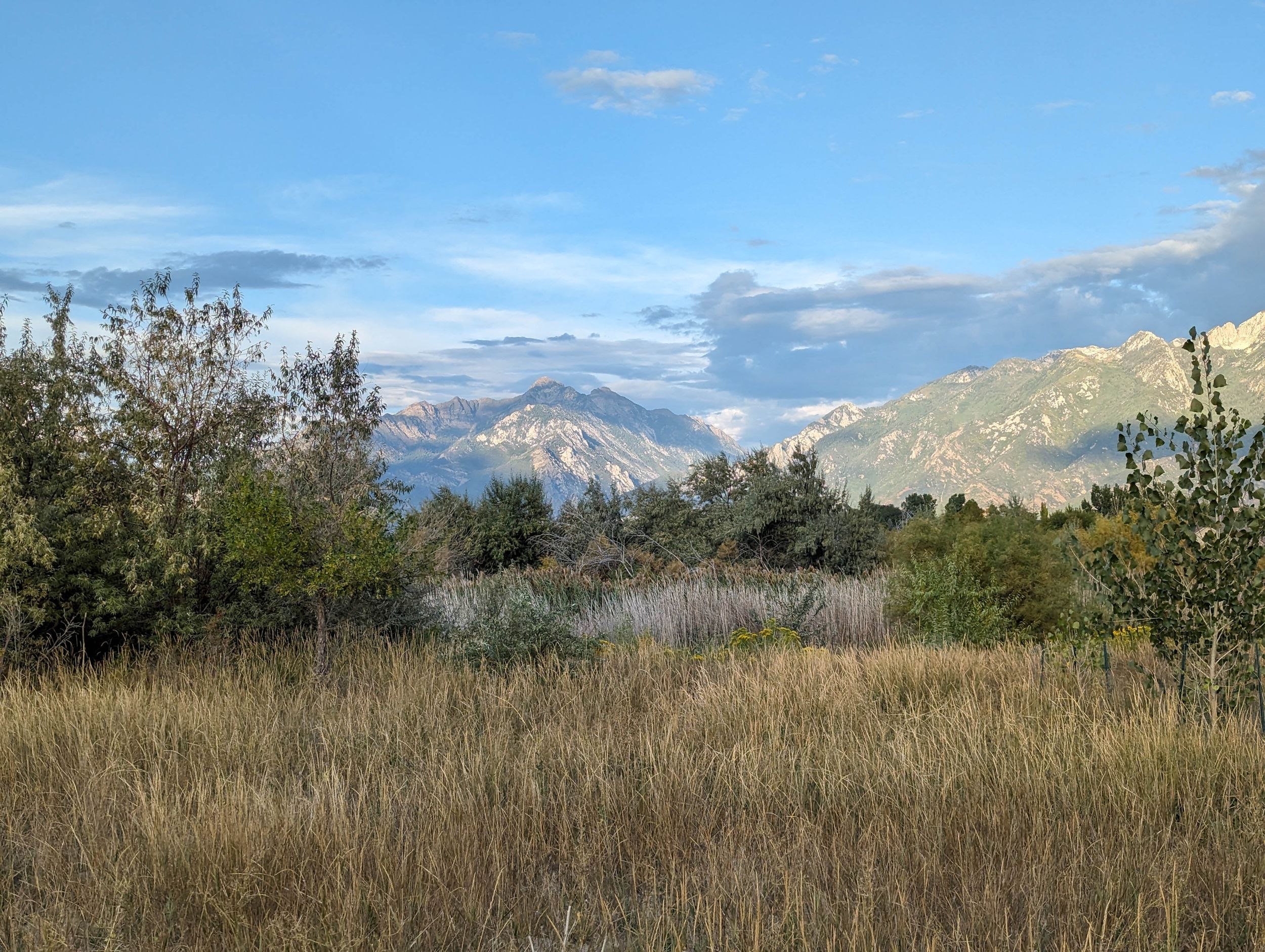 Dr. O. Roi Hardy Park, Riverton Utah Evolve Photography