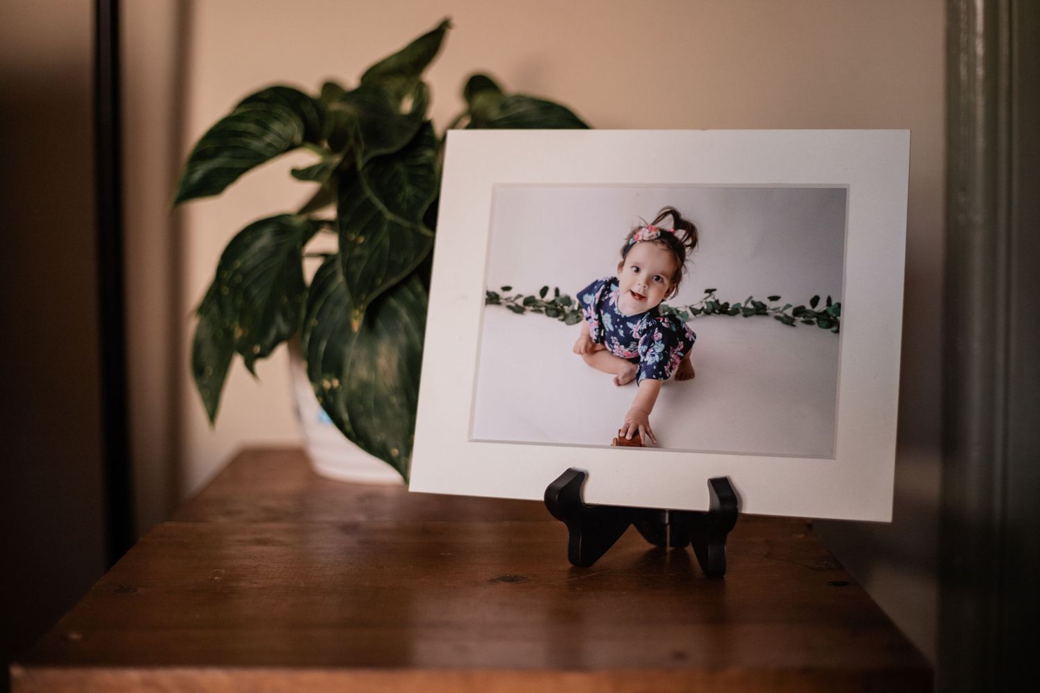 Knoxville Tennessee Newborn Photographer