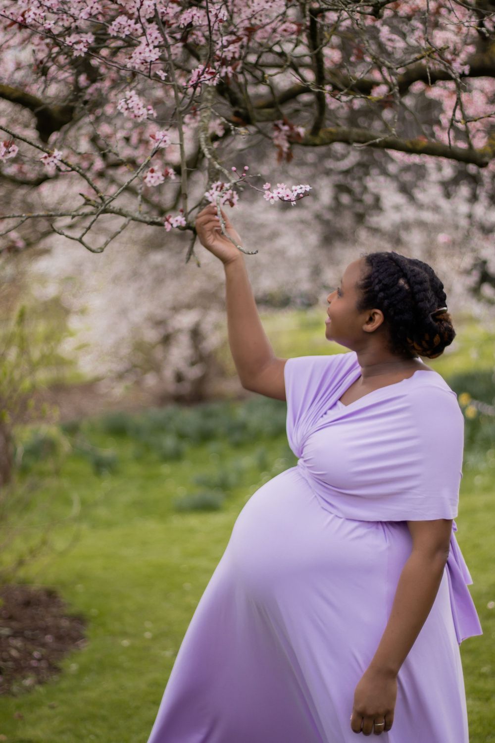 Person in purple dress reaching up to touch cherry blossoms in a spring garden.
