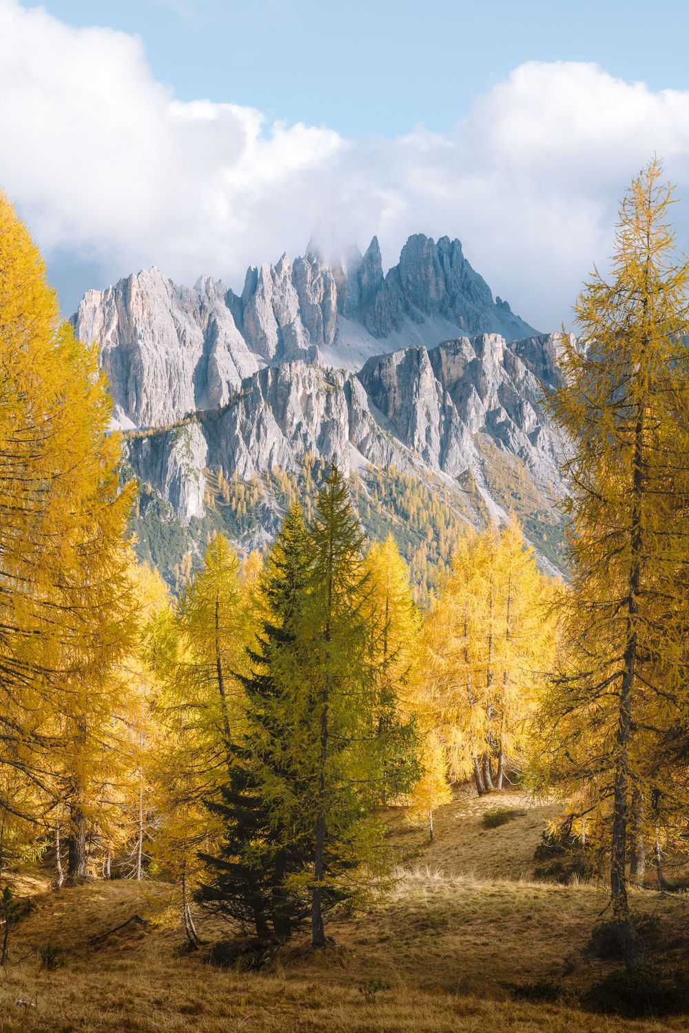 Autumn Trees in Dolomites