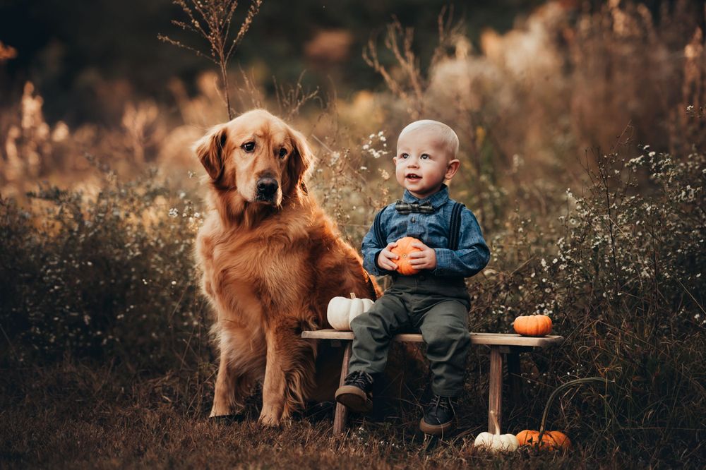 little boy sits with his dog and pumpkins for fall mini sessions in Chattanooga
