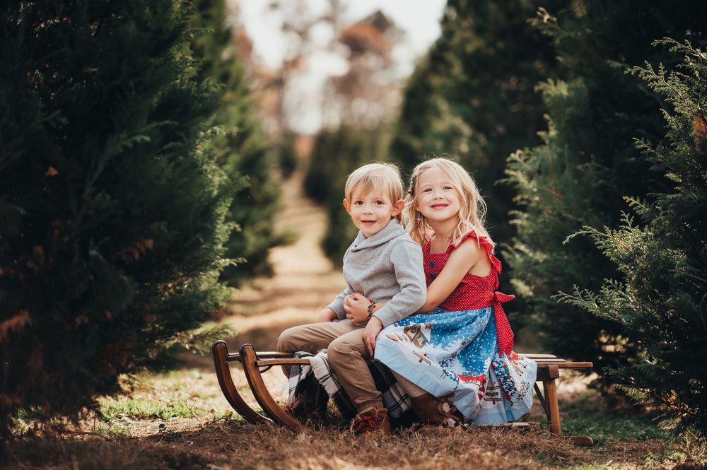 brother and sister sit on antique sled in row of Christmas trees for Chattanooga mini session