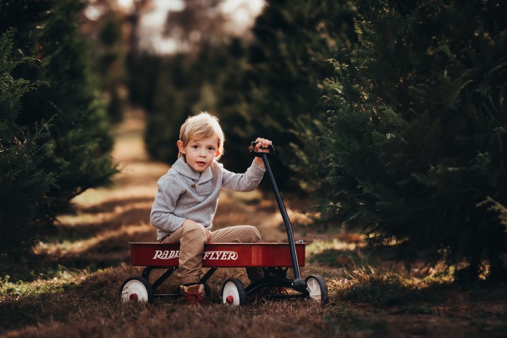 little blonde boy sits in a red radio flyer wagon for Christmas tree farm mini session near Chattanooga