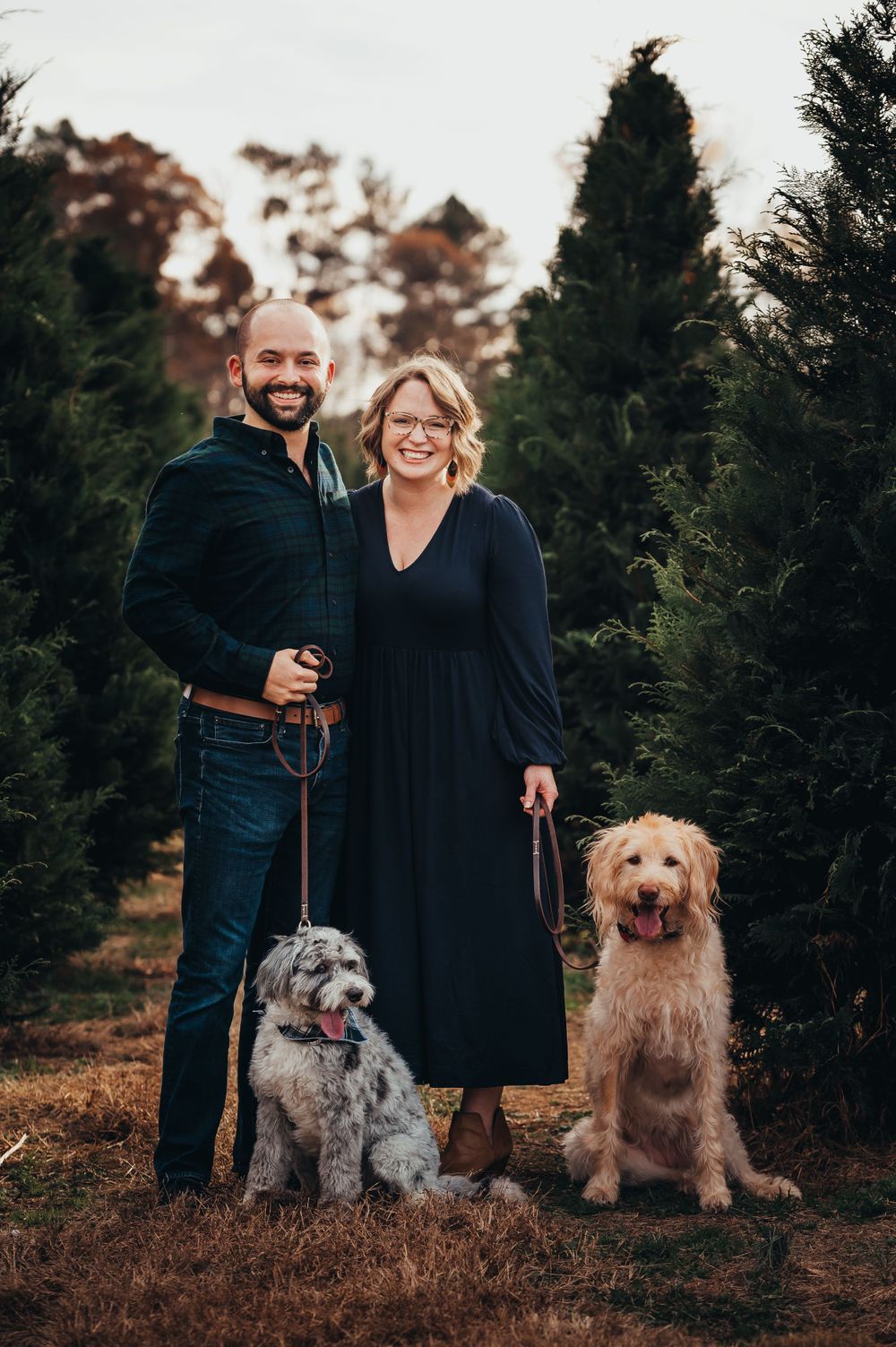 man and woman in navy stand in a row of christmas trees with their dogs on leashes for tree farm minis