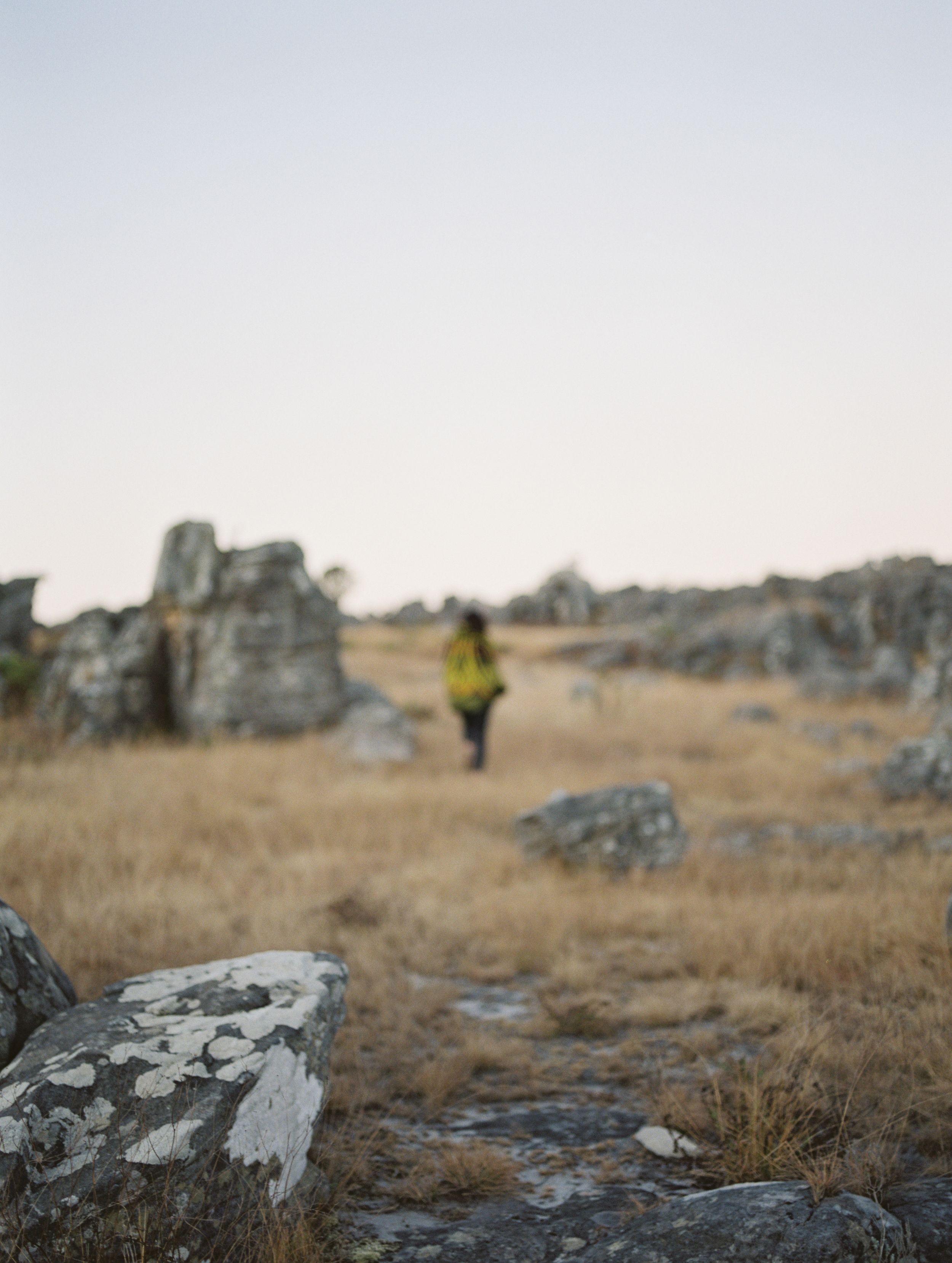 Kodrak Portra 400 film photograph on Medium format