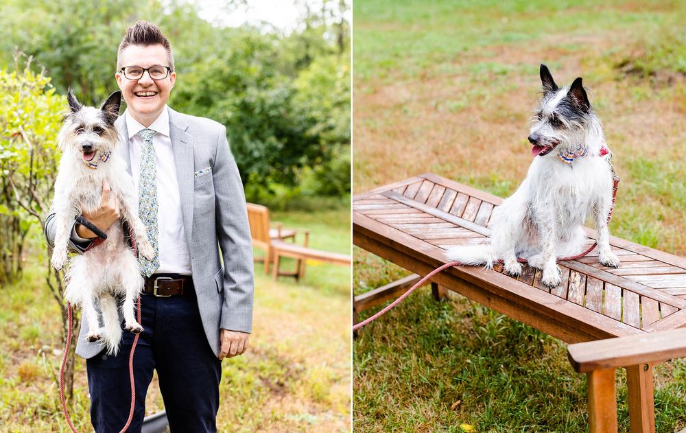 dogs at weddings